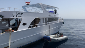 Unser Daily Boat die Sea Brird bietet 24 Gaesten Platz.