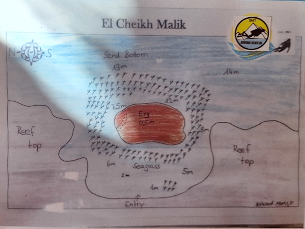 diveMap_elSheikMalik_h1200x900 Handskizze von Ashraf Mansy: Tauchplatzkarte von El Sheik Malik mit Tiefenangaben, Richtungen und Highlights.