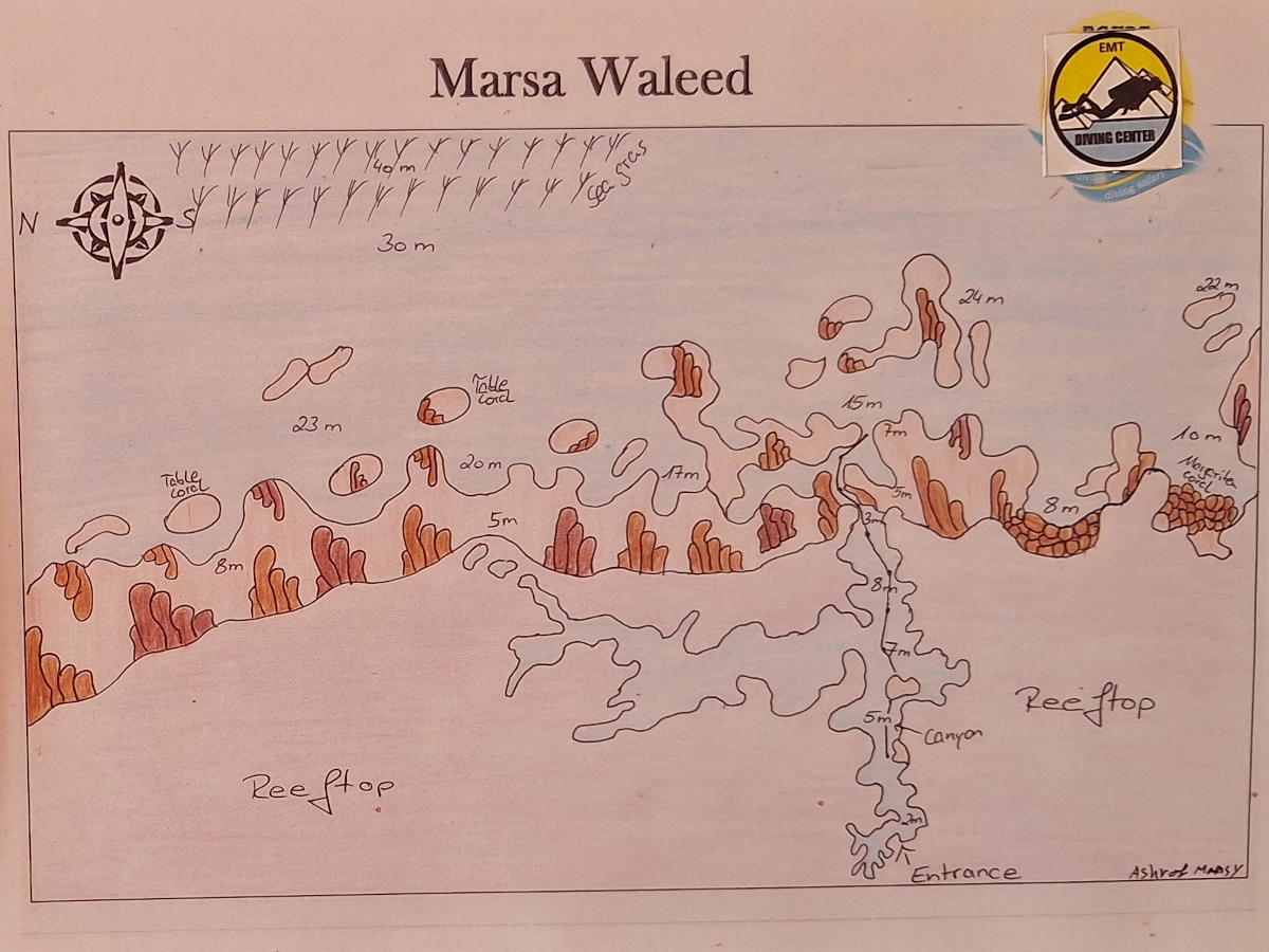 diveMap_marsaWaleed_h1200x900 Handskizze von Ashraf Mansy: Tauchplatzkarte von Marsa Waleed mit Tiefenangaben, Richtungen und Highlights.