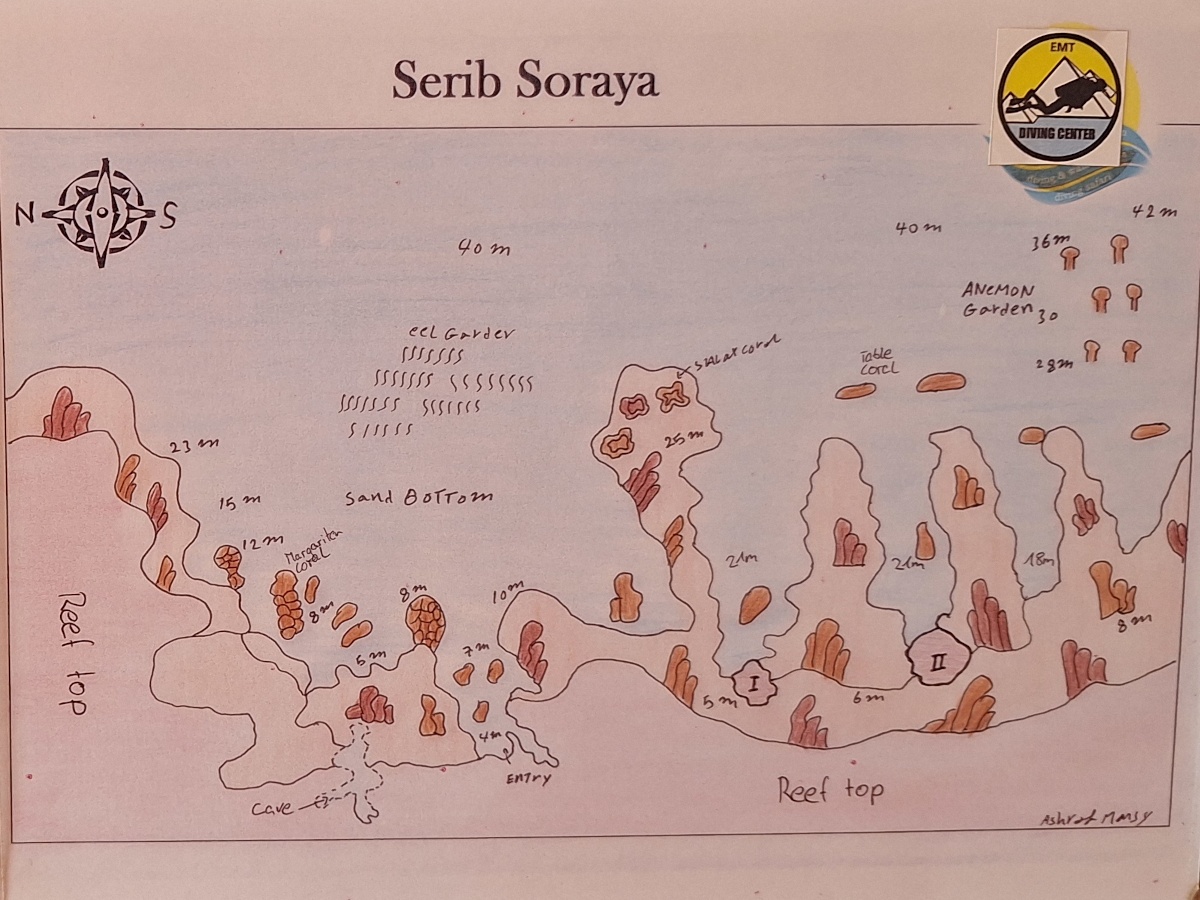 diveMap_seribSoraya_h1200x900 Handskizze von Ashraf Mansy: Tauchplatzkarte von Serib Soraya mit Tiefenangaben, Richtungen und Highlights.